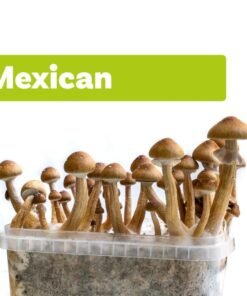 GROW KIT MEXICANA