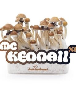 Grow Kit Mckennaii